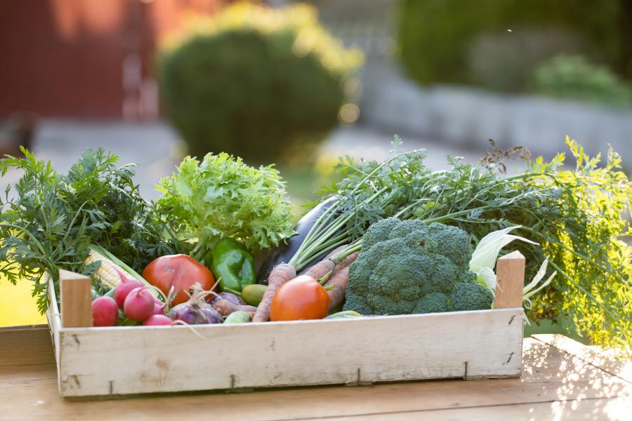 Regionales Gemüse